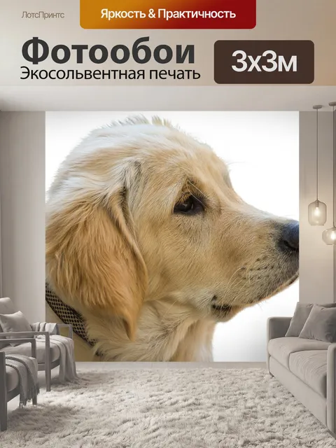 Фотообои Собака