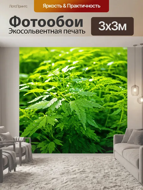 Фотообои плотная заросль крапивы на фоне яркого зелёного поля