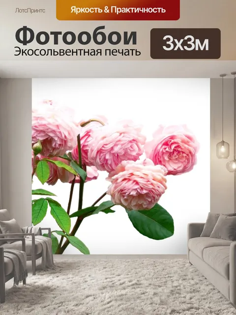 Фотообои Картина из розовых роз