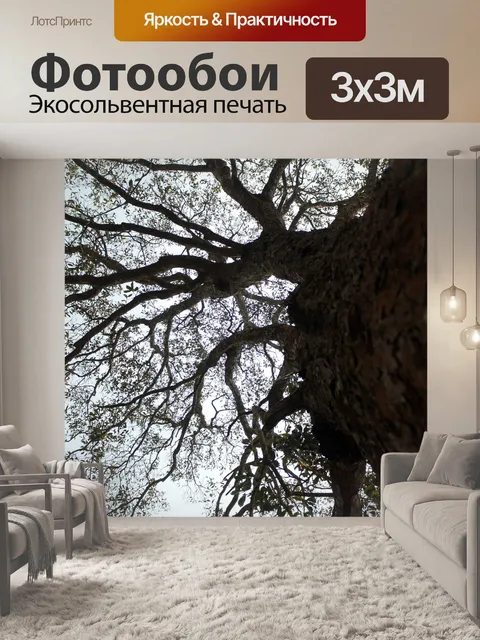 Фотообои Дерево