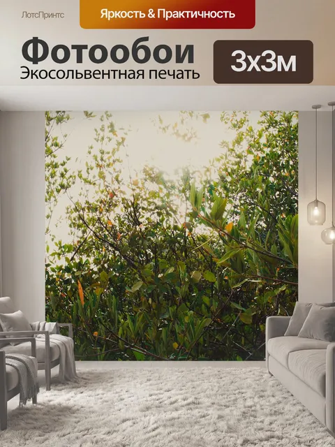 Фотообои Деревья