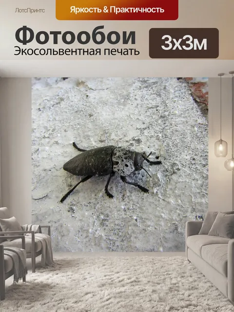 Фотообои Макро