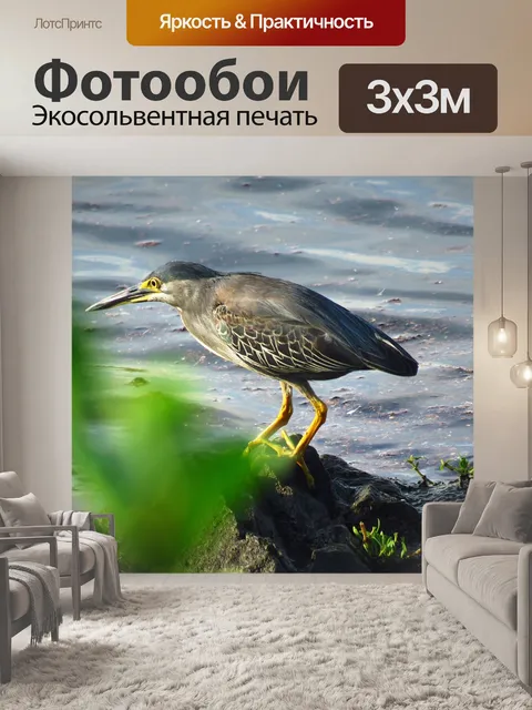 Фотообои Цапля