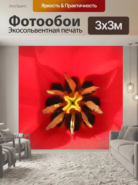 Фотообои Цветок