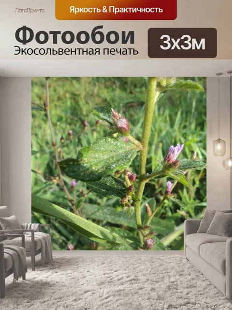 Фотообои Листья 2