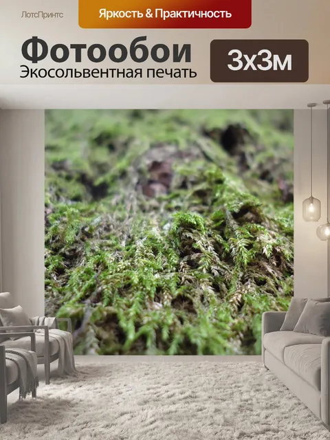 Фотообои Мох