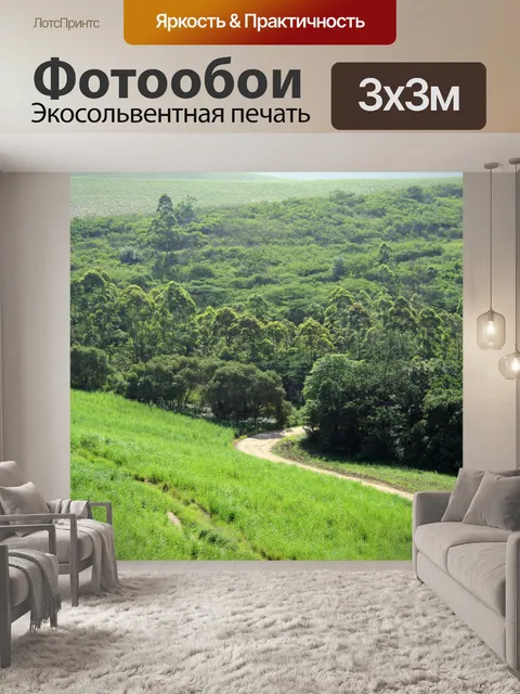 Фотообои извилистый след на сахарного тростника и