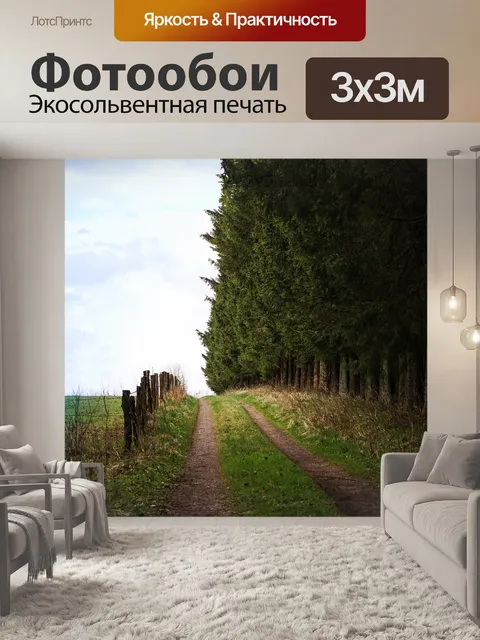 Фотообои Дорожка