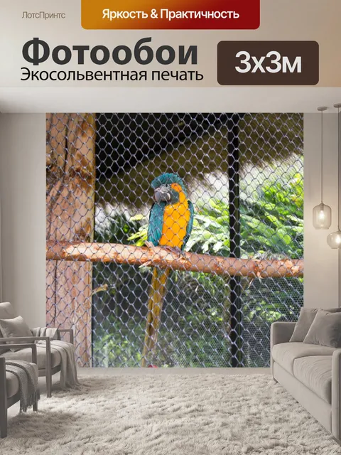 Фотообои Желтый попугай