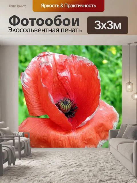 Фотообои Маки