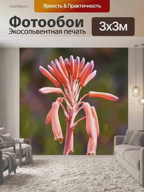 Фотообои Цветы
