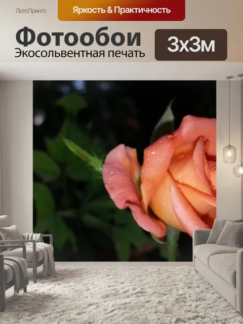Фотообои Удивительные фотографии