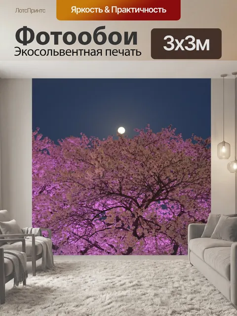 Фотообои Cherryblossom