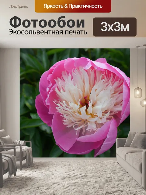 Фотообои Природа