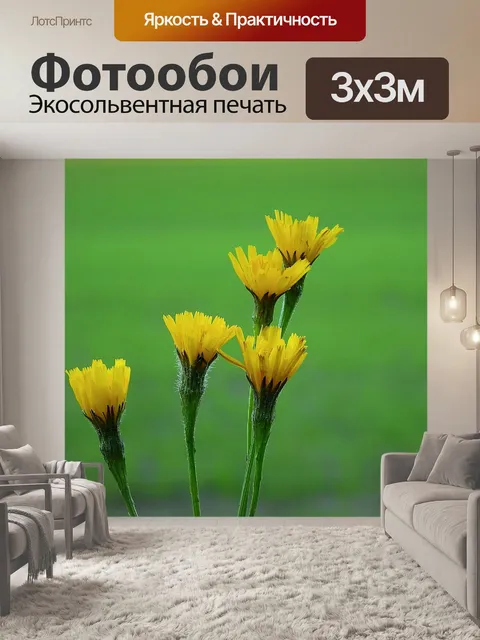 Фотообои Цветы