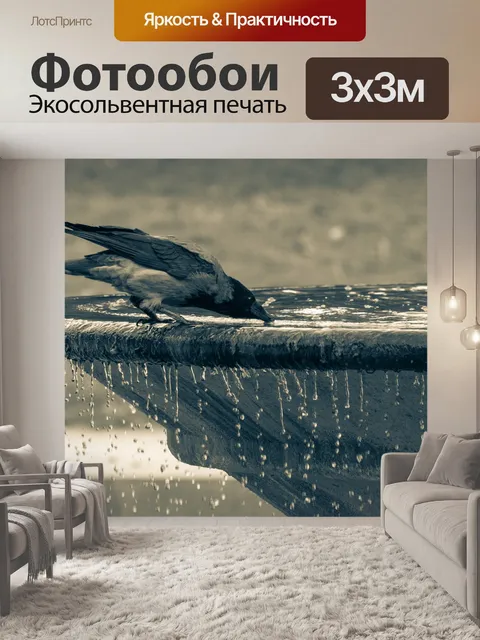 Фотообои Птица