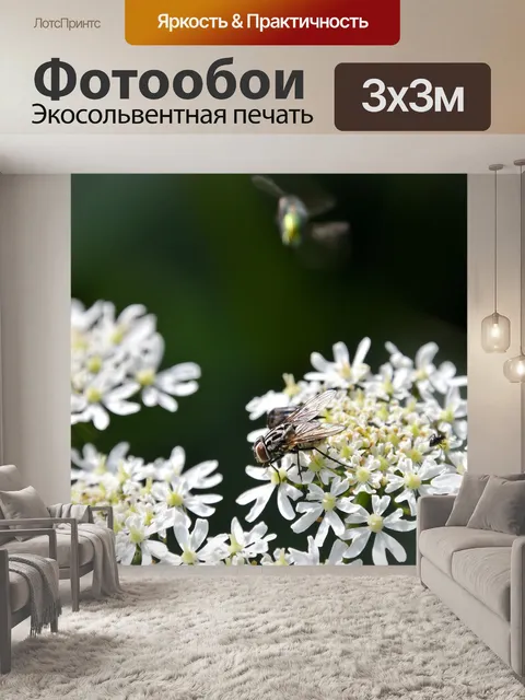 Фотообои Летать
