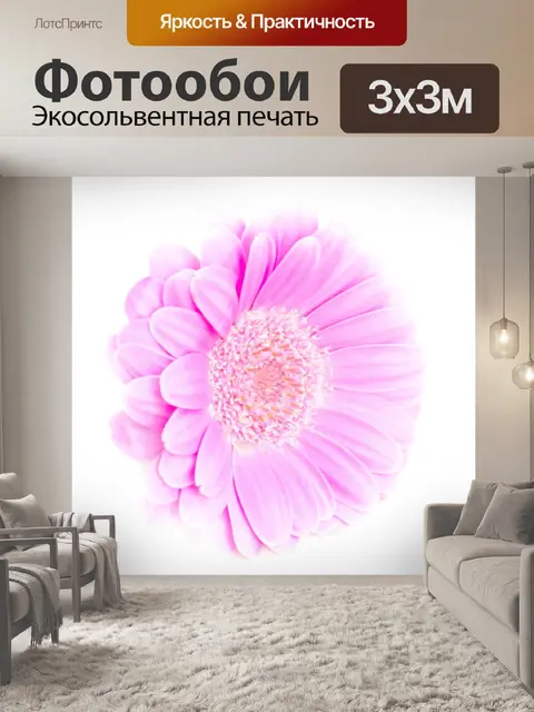 Фотообои Цветок на белом фоне