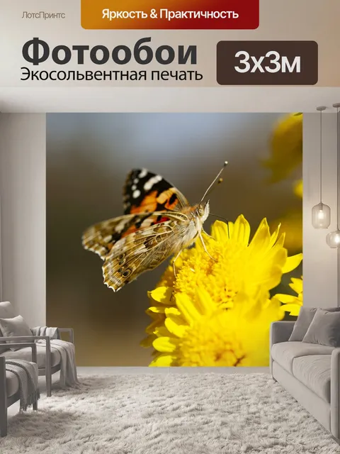 Фотообои Бабочки