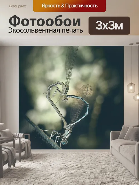 Фотообои Стрекоза