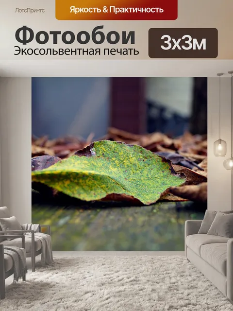 Фотообои Падение