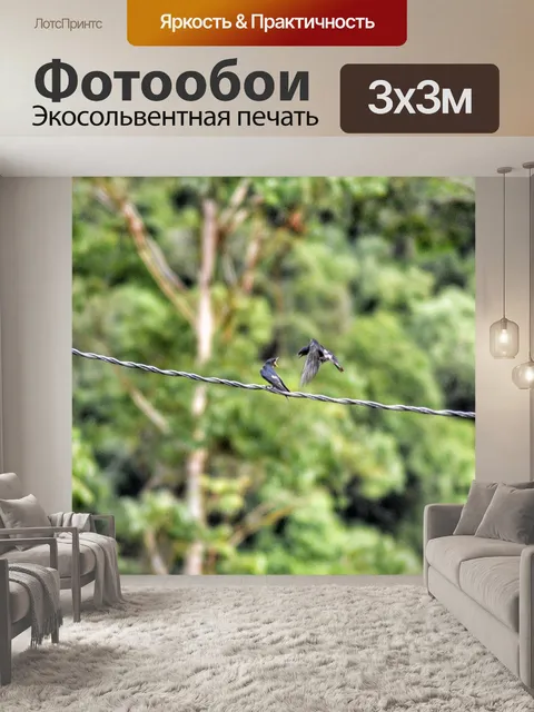 Фотообои Птица
