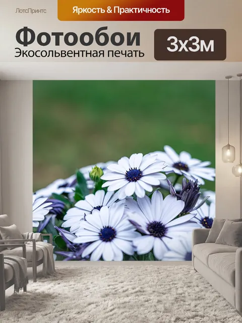 Фотообои Цветы