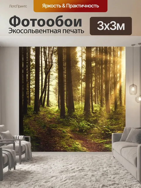 Фотообои Лес