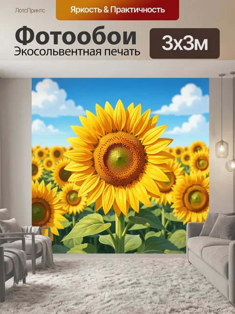 300 × 300 см · Экосольвентная печать