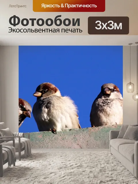 Фотообои Птицы