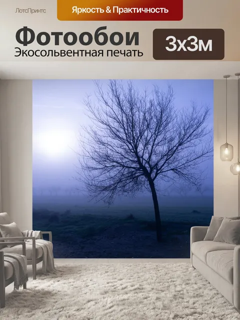 Фотообои Туман