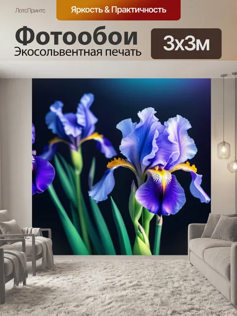 Фотообои с ирисами минимал