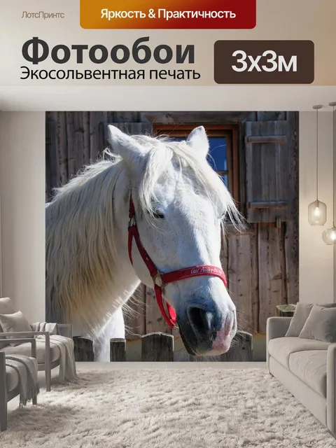 Фотообои Лошадь