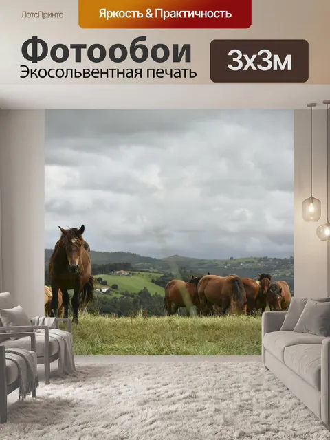 Фотообои Лошади