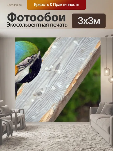 Фотообои Голубой попугай