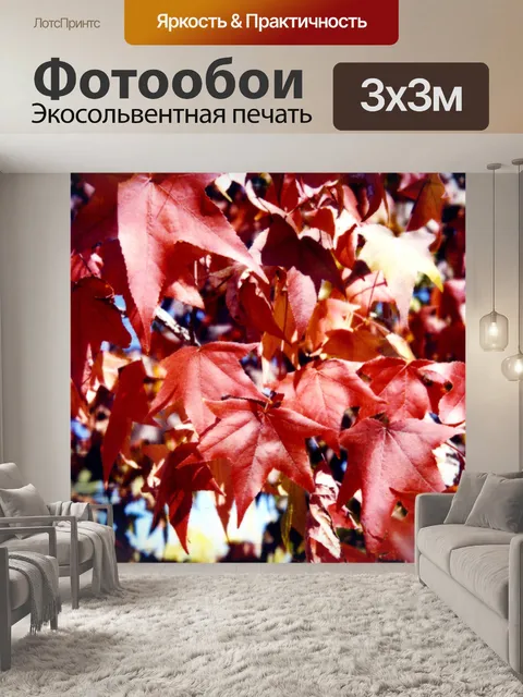 Фотообои Красные листья