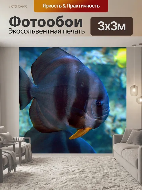Фотообои Тропические рыбы