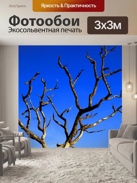 Фотообои Мертвое дерево фона