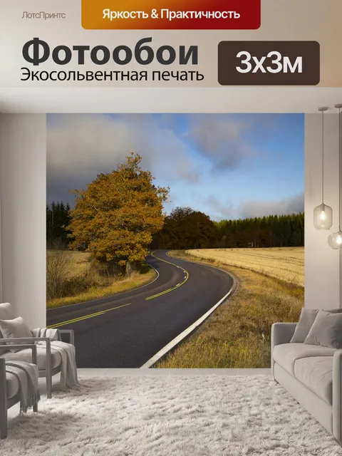 Фотообои Дорога