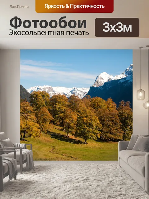 Фотообои Деревья