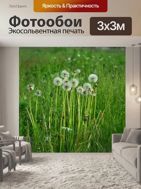 Фотообои Одуванчики