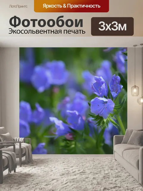 Фотообои Цветы