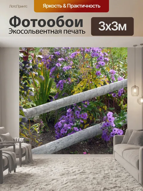 Фотообои Фиолетовый цветок в саду