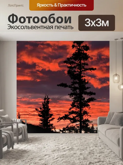 Фотообои Заход солнца