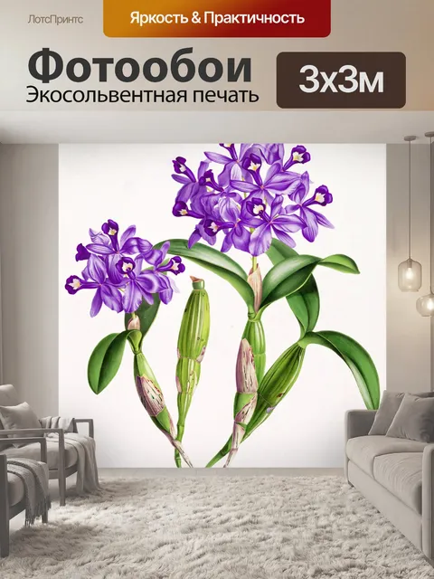 Фотообои Цветок орхидеи цветок искусство