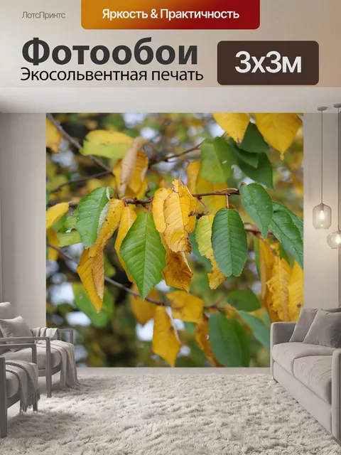 Фотообои Листья