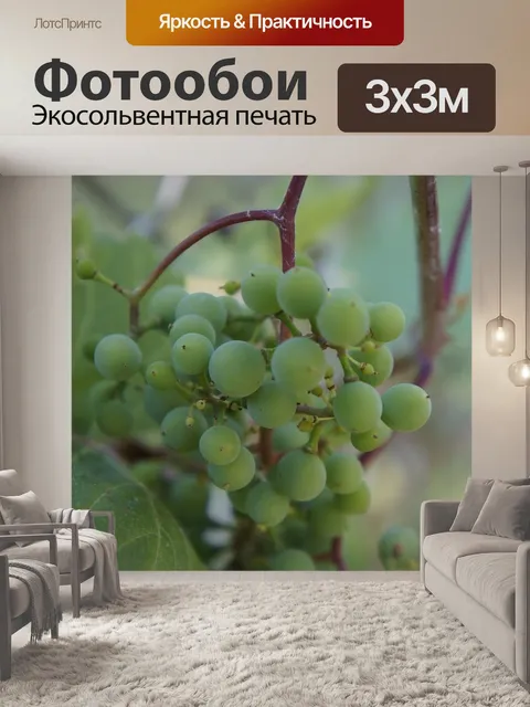 Фотообои Природа