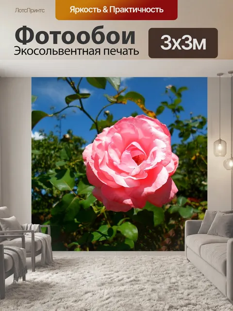 Фотообои Роза