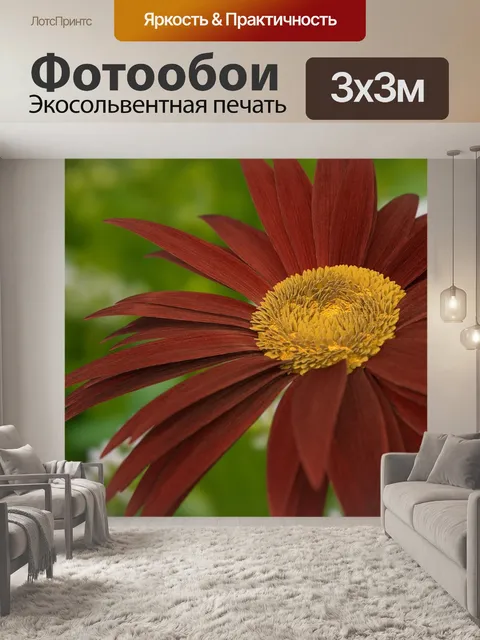 Фотообои Цветок
