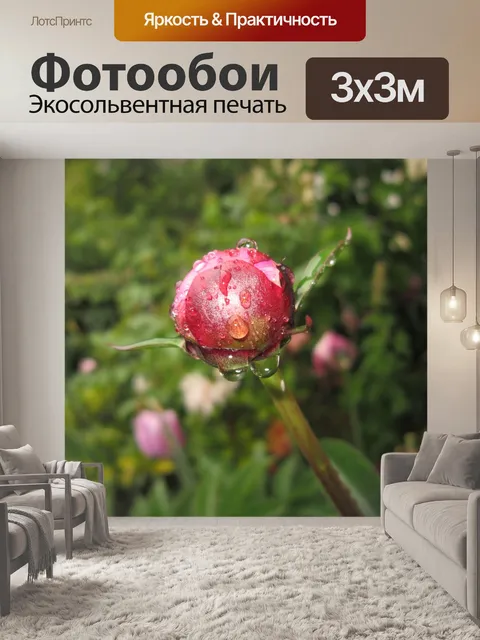 Фотообои Пион